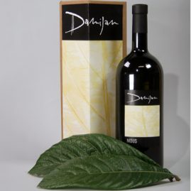 Progetto etichetta vino